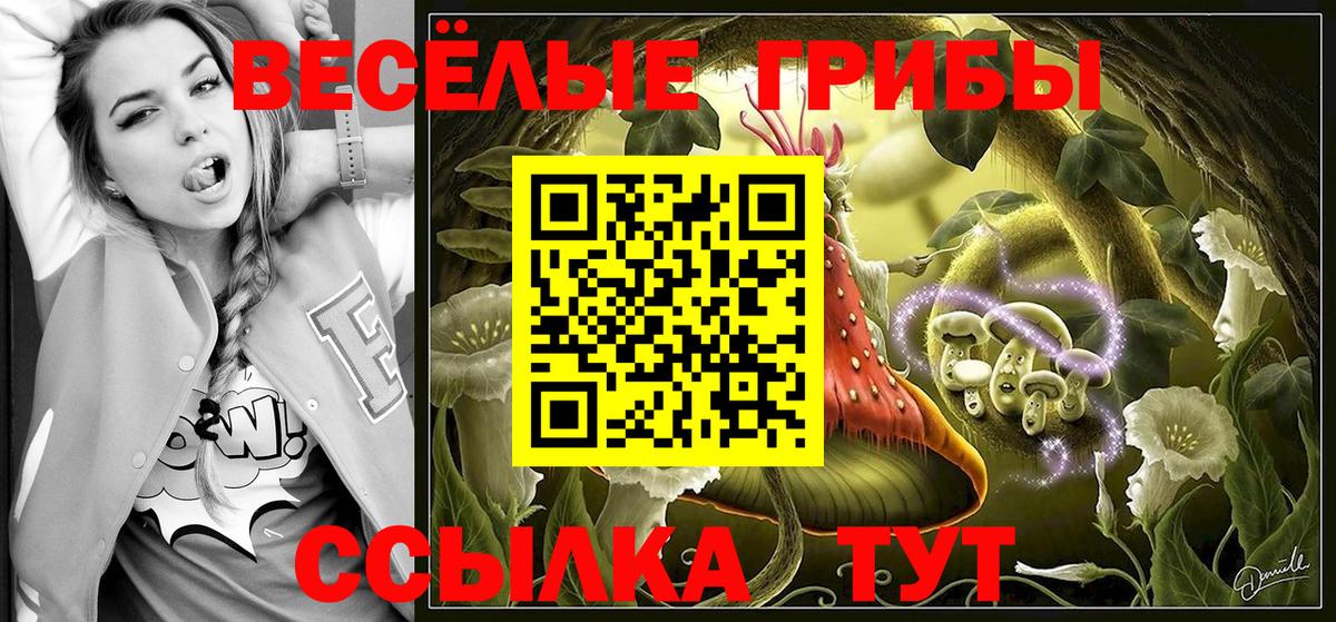 Калач-на-Дону  наркотики  Галлюциногенные грибы прущие грибы  Вход с VPN  Псилоцибиновые грибы прущие грибы 